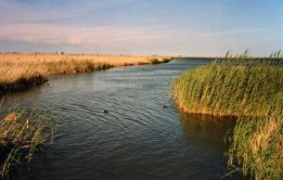 Lire la suite à propos de l’article Au sud de la Catalogne le delta de l’EBRE