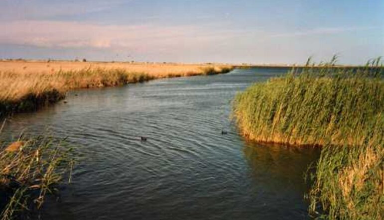 Au sud de la Catalogne le delta de l’EBRE