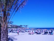 Lire la suite à propos de l’article Vacances Costa Blanca