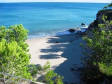 Lire la suite à propos de l’article DECOUVRIR MIAMI PLAYA