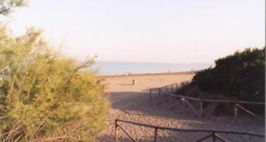 Vaste plage et nature intacte à Marina di Bibbona