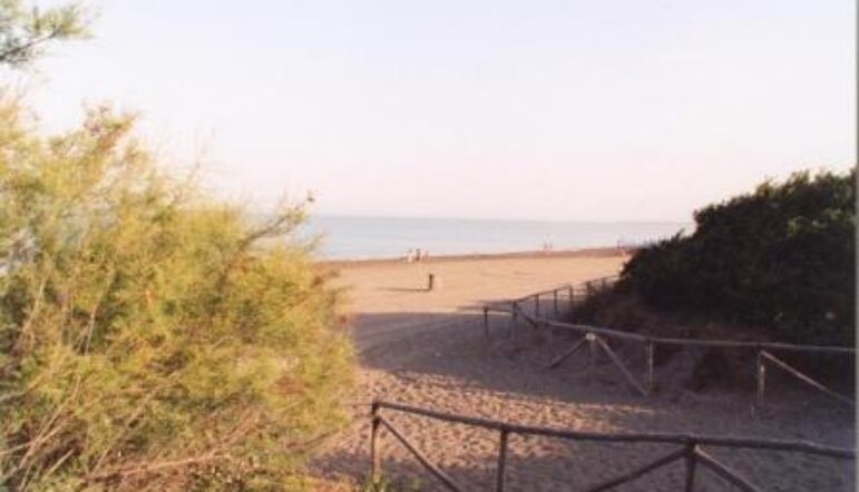 Vaste plage et nature intacte à Marina di Bibbona