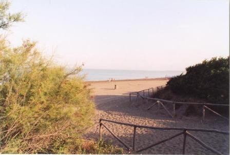 Lire la suite à propos de l’article Vaste plage et nature intacte à Marina di Bibbona