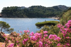 Lire la suite à propos de l’article Profitez de votre location de vacances à Bégur pour découvrir cette magnifique région
