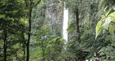 Le Costa Rica : Paradis de l’éco-touriste