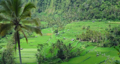 Bali, l’émeraude de l’Indonésie