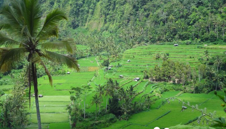 Bali, l’émeraude de l’Indonésie