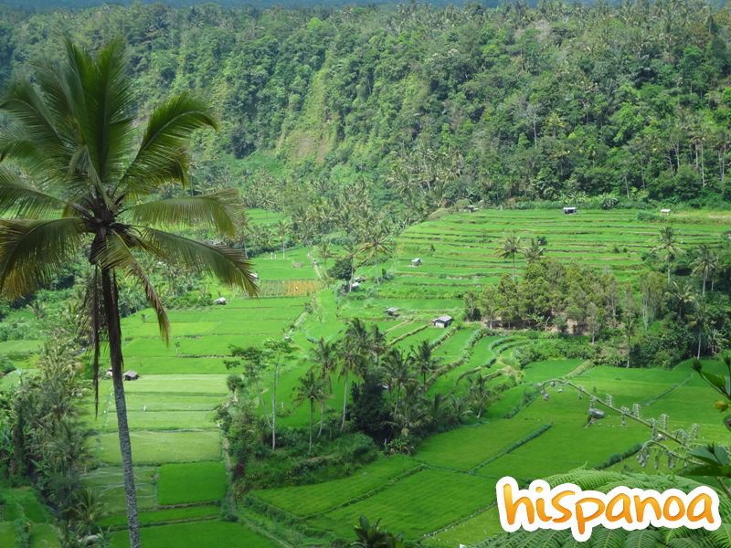 Lire la suite à propos de l’article Bali, l’émeraude de l’Indonésie