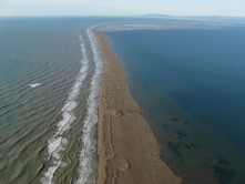 Lire la suite à propos de l’article Le Delta de l’Ebre : La « Camargue espagnole »