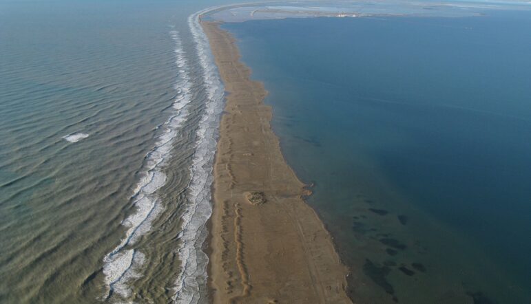 Le Delta de l’Ebre : La « Camargue espagnole »