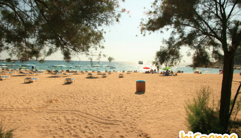 Vacances sereines riment avec prévoyance