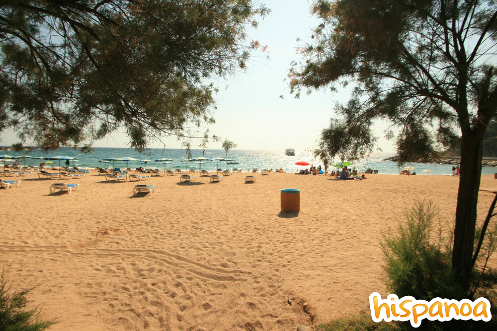 You are currently viewing Vacances sereines riment avec prévoyance