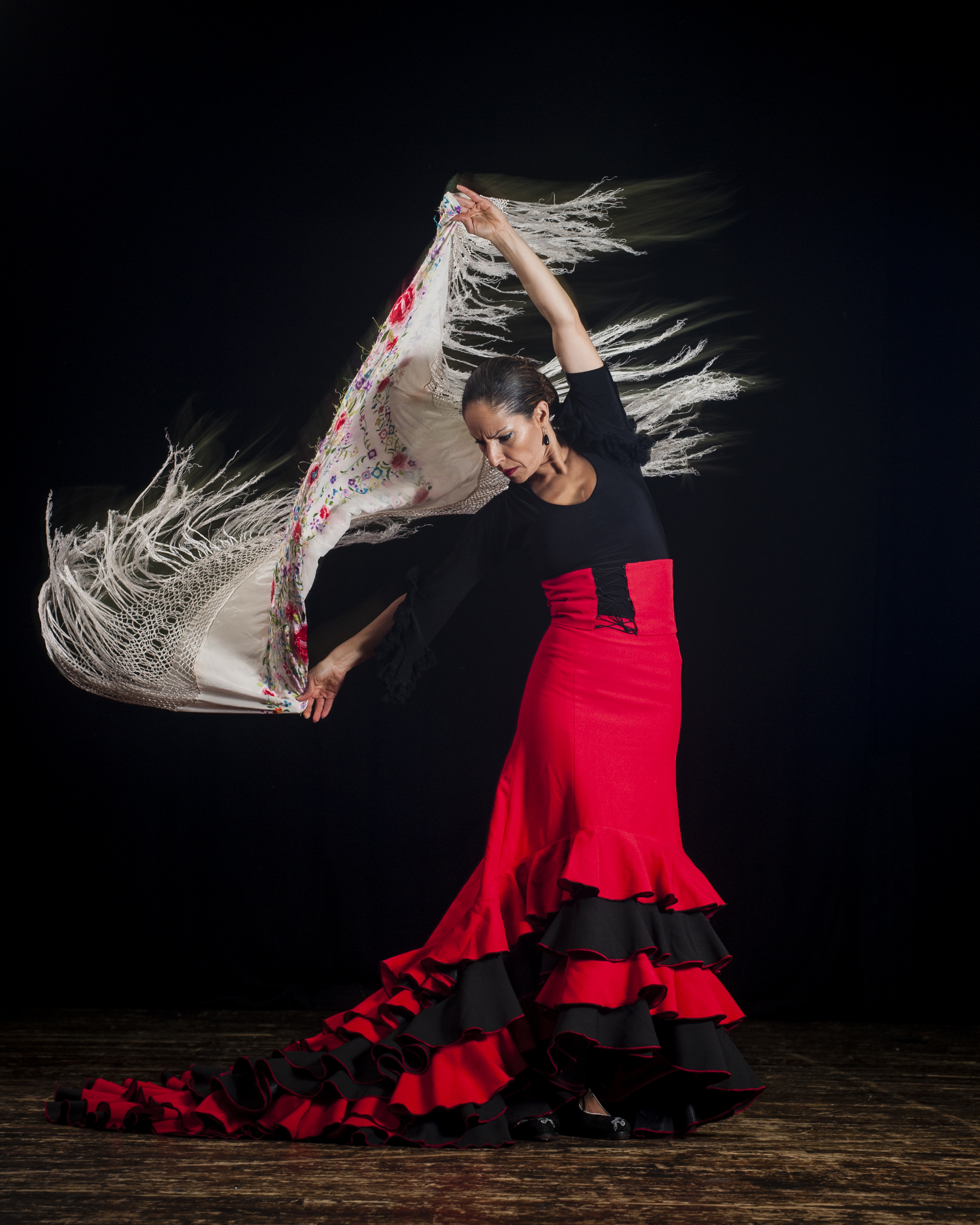 Flamenco danceur