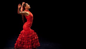 flamenco