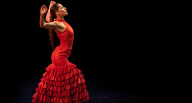 Le flamenco, à découvrir pendant vos vacances !
