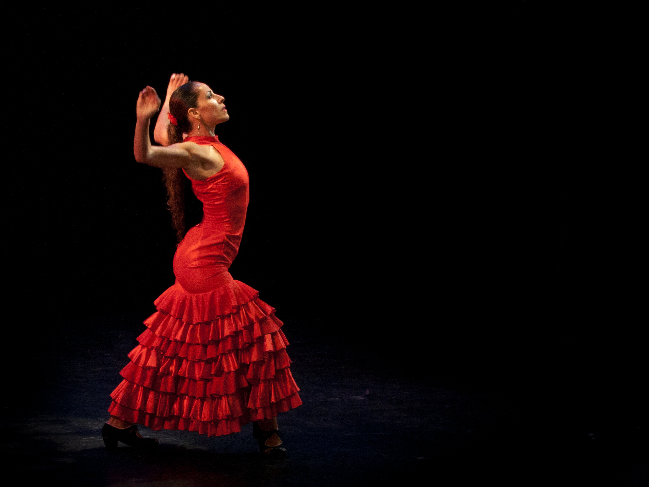 Lire la suite à propos de l’article Le flamenco, à découvrir pendant vos vacances !