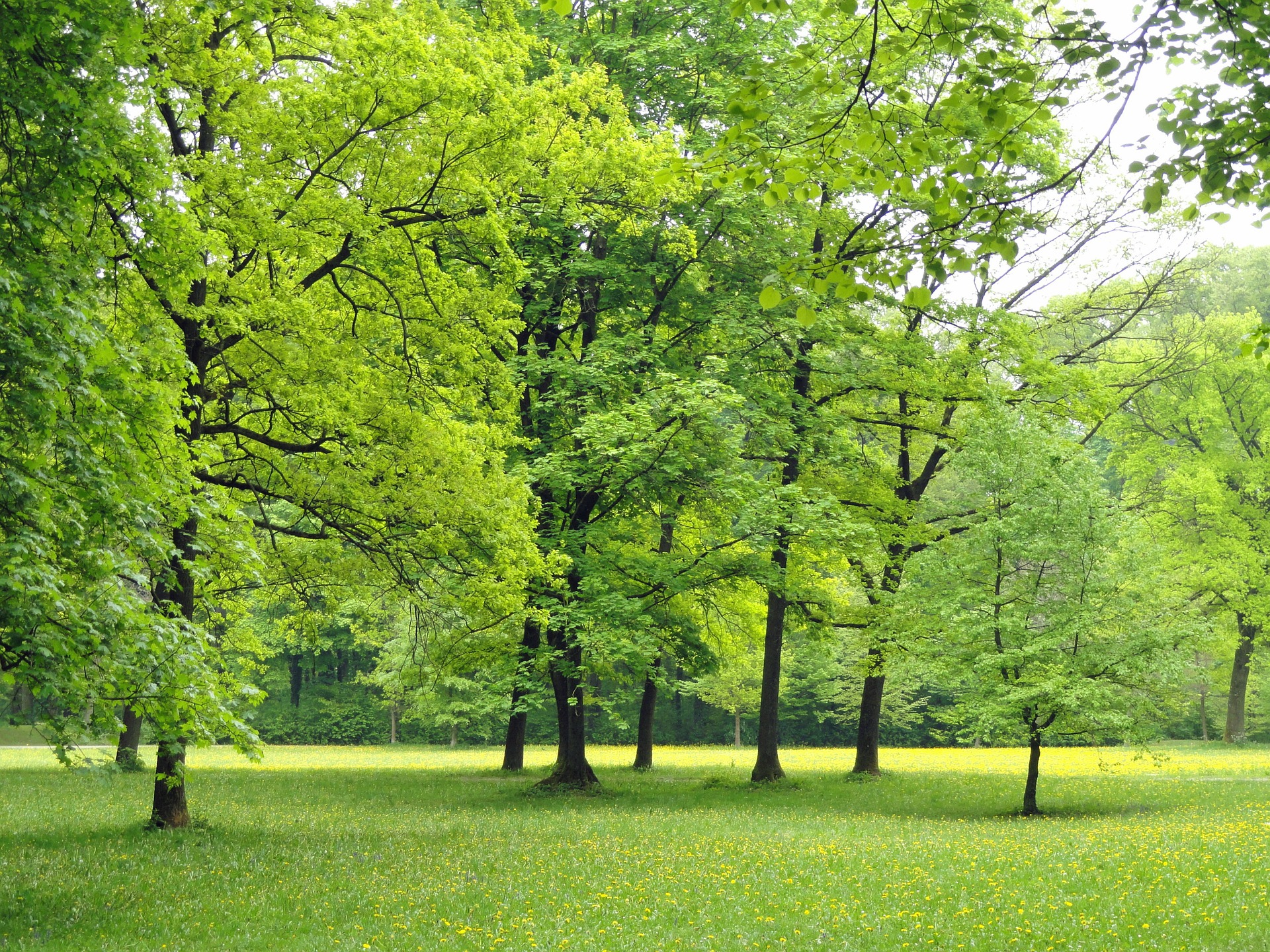 parc
