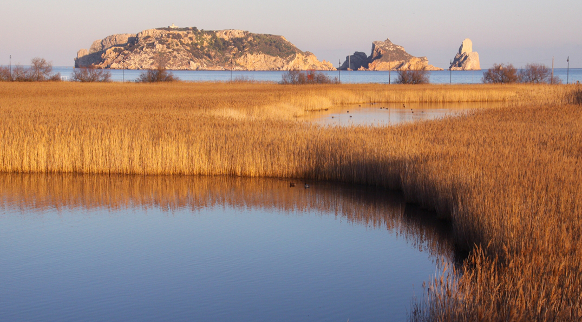 parc naturel de Montgri 