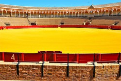 Lire la suite à propos de l’article Les arènes espagnoles : entre tradition et tourisme