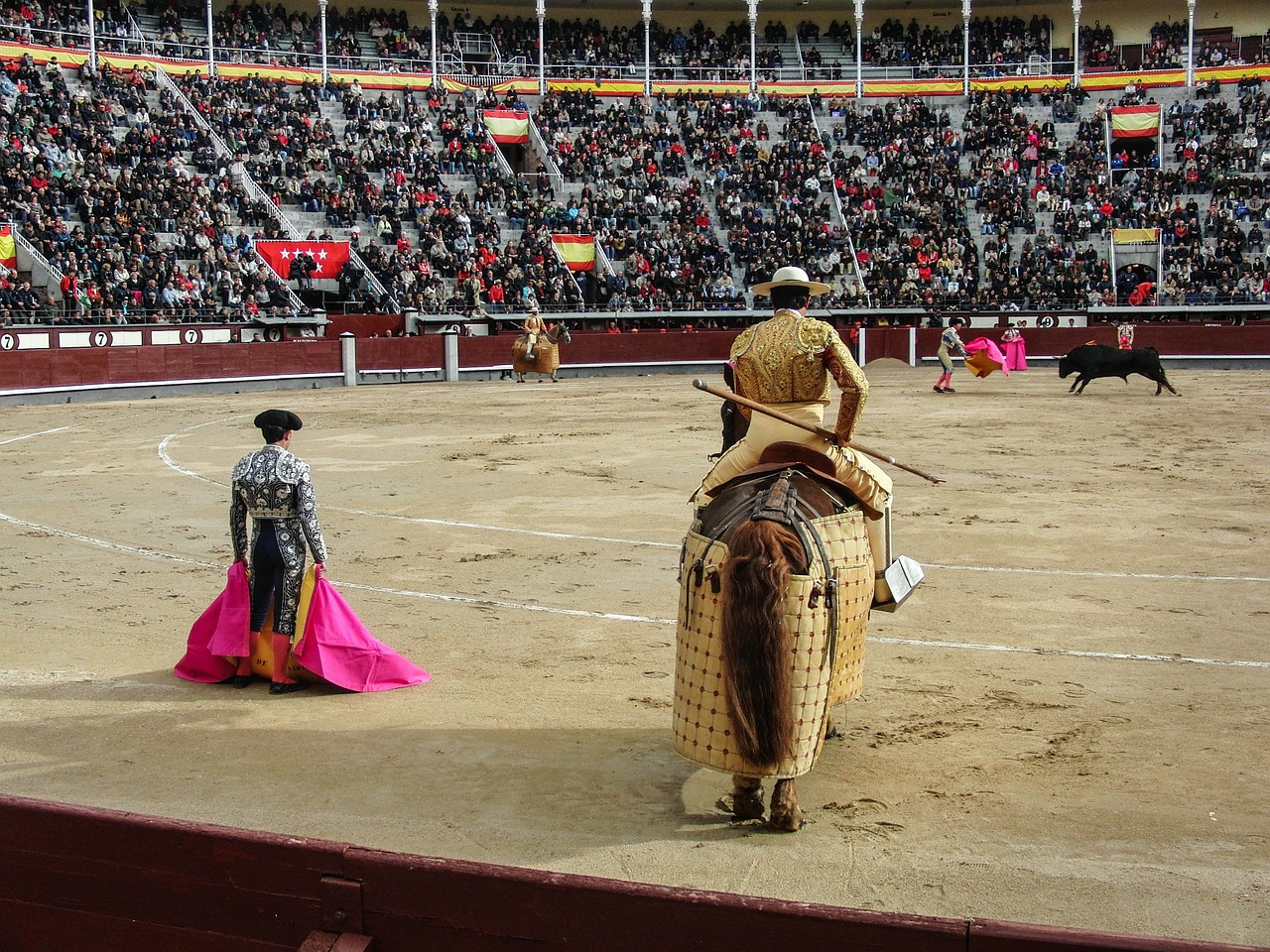 Torrero