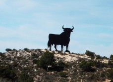 Lire la suite à propos de l’article Arènes et toreros espagnols : histoire