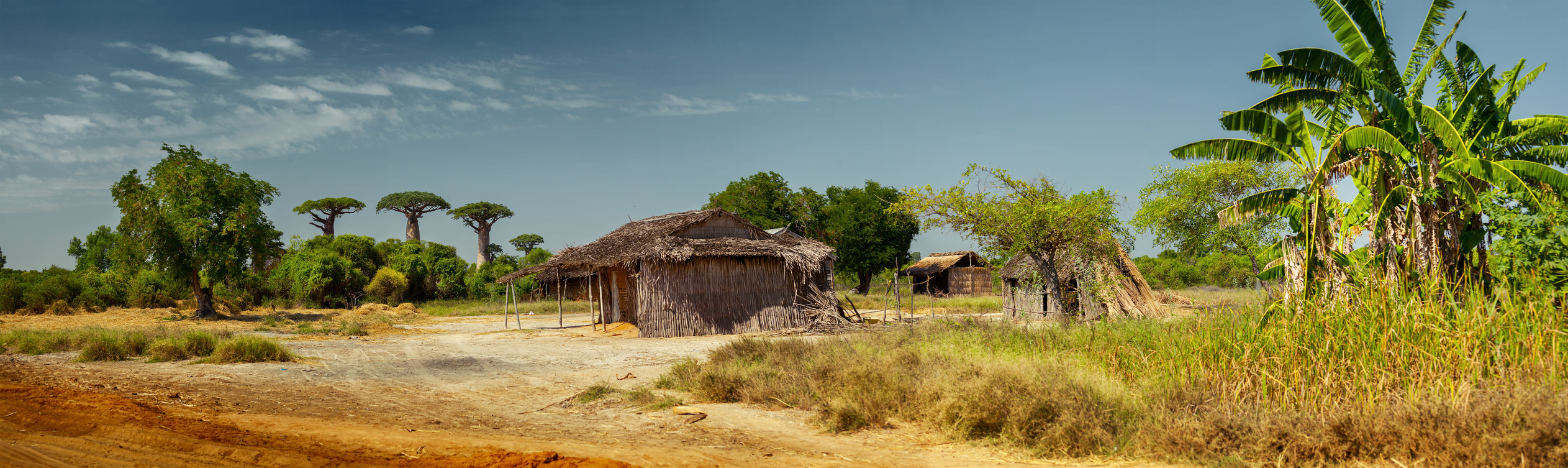 Lire la suite à propos de l’article Découvrez Madagascar à travers la vie quotidienne de son peuple