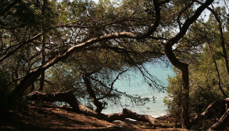 La Costa Dorada : perle de l’Espagne