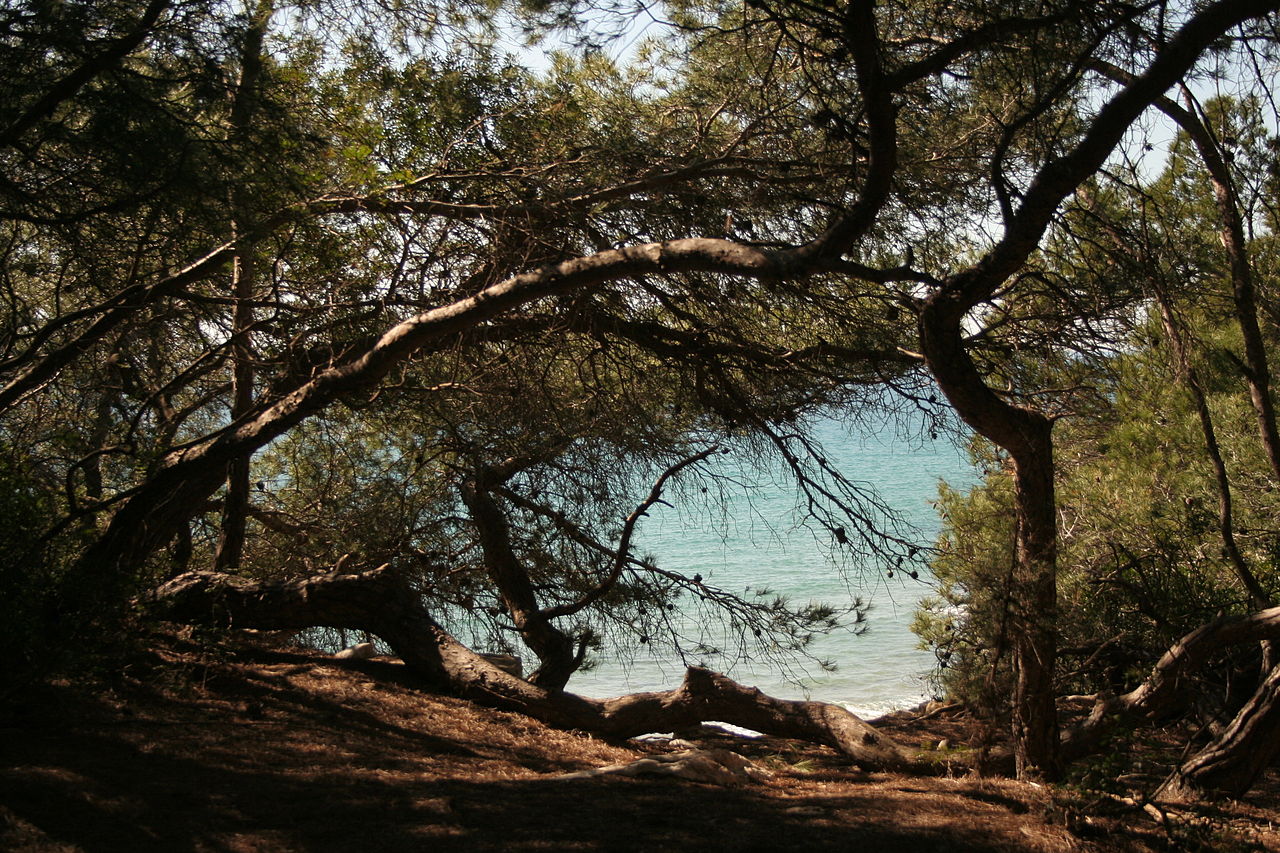 Lire la suite à propos de l’article La Costa Dorada : perle de l’Espagne