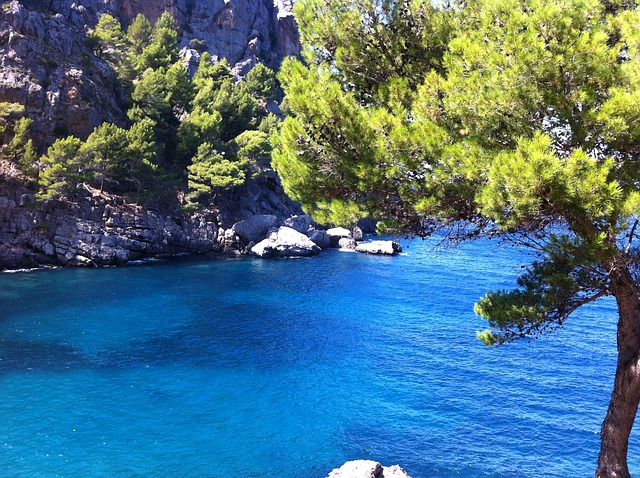Lire la suite à propos de l’article Vos vacances en Espagne en 2016