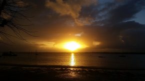 Lire la suite à propos de l’article Les incontournables du bassin d’Arcachon