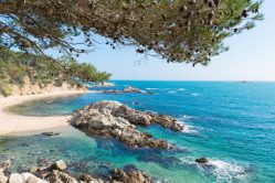 Lire la suite à propos de l’article Notre TOP de location de vacances à l’Estartit