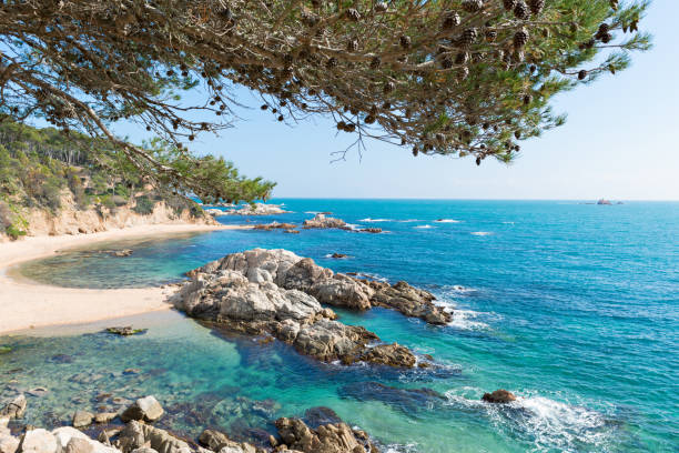 Lire la suite à propos de l’article Notre TOP de location de vacances à l’Estartit