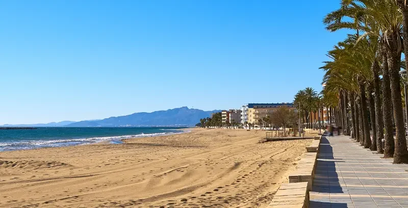 Les marchés de Salou : quand votre séjour en Catalogne prend une saveur locale !