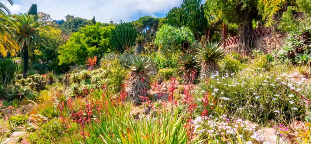 jardin-botanique-blanes