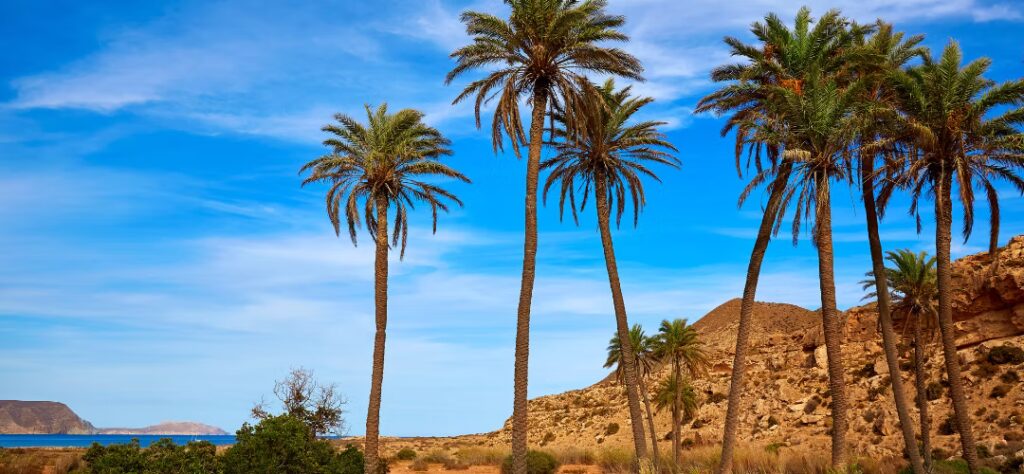 almeria