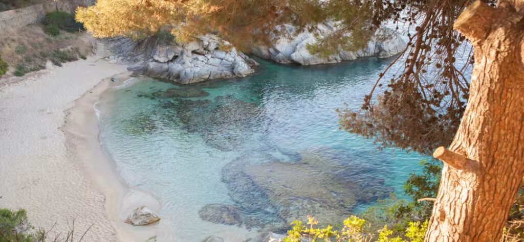 Cala del Pi plage