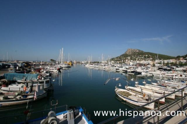 Estartit port